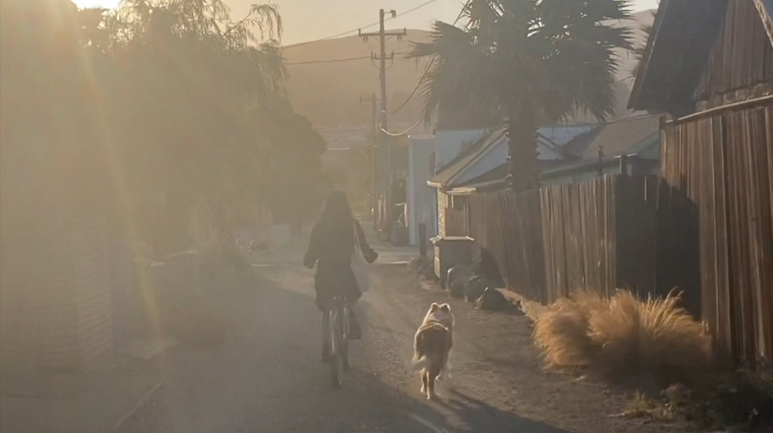 VIDEO: missing my old life