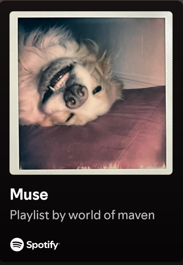 World of Maven Playlist: Muse